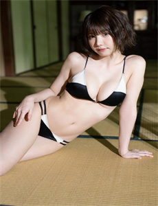 《日本一冢本》