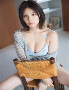 《二战日本宣传画》