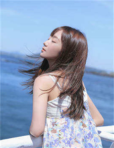 《迪士尼之梦》