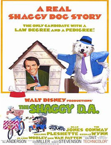 重生之老婆我在爱你一次