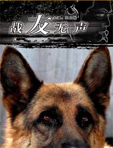 我是星际国家的恶德领主!