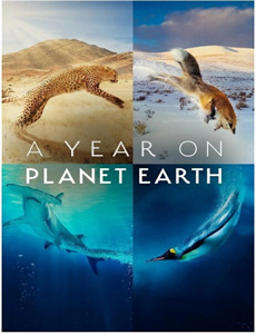 她引神明坠落指尖沦陷